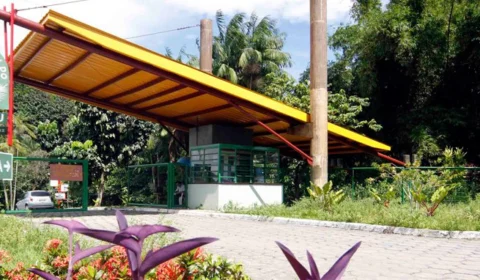 Onde tomar café regional na floresta sem sair de Manaus