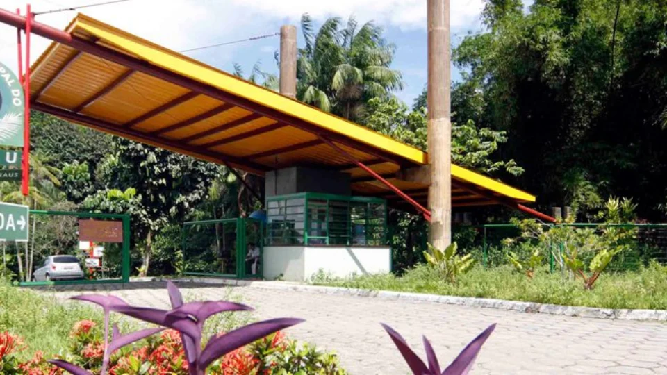 Onde tomar café regional na floresta sem sair de Manaus