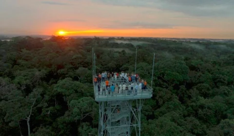 Em Manaus é possível ver a floresta de cima, conheça o lugar
