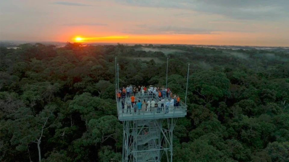 Em Manaus é possível ver a floresta de cima, conheça o lugar