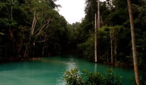 Lagoa em Manaus surpreende com cenário paradisíaco, conheça o lugar