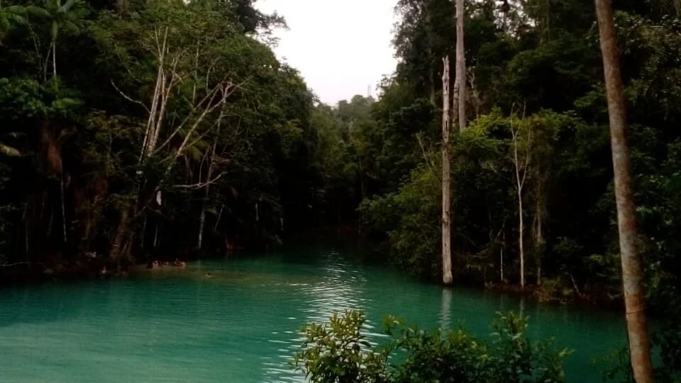 Lagoa em Manaus surpreende com cenário paradisíaco, conheça o lugar