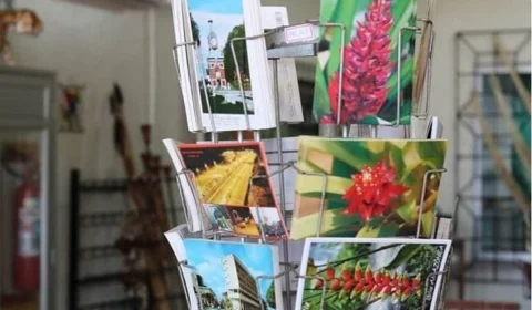 Maior acervo indígena do Brasil fica em Manaus, conheça o lugar