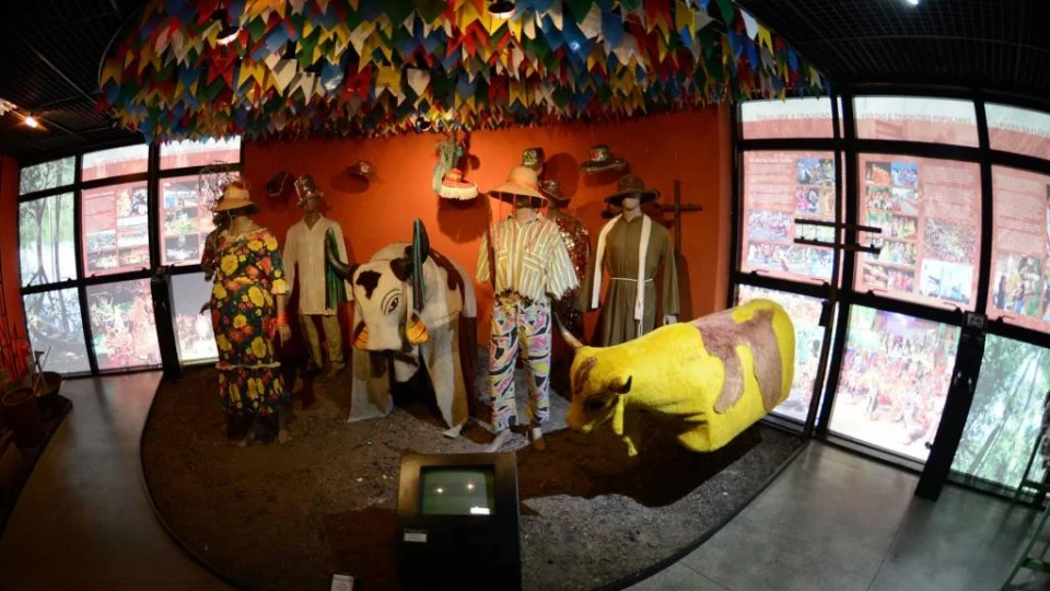 Museu em Manaus apresenta peculiaridades da região norte