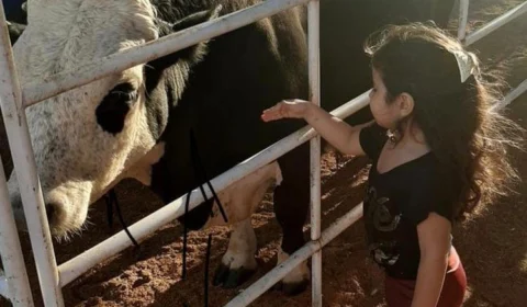 Atração em Manaus permite que crianças brinquem com mini animais de fazenda