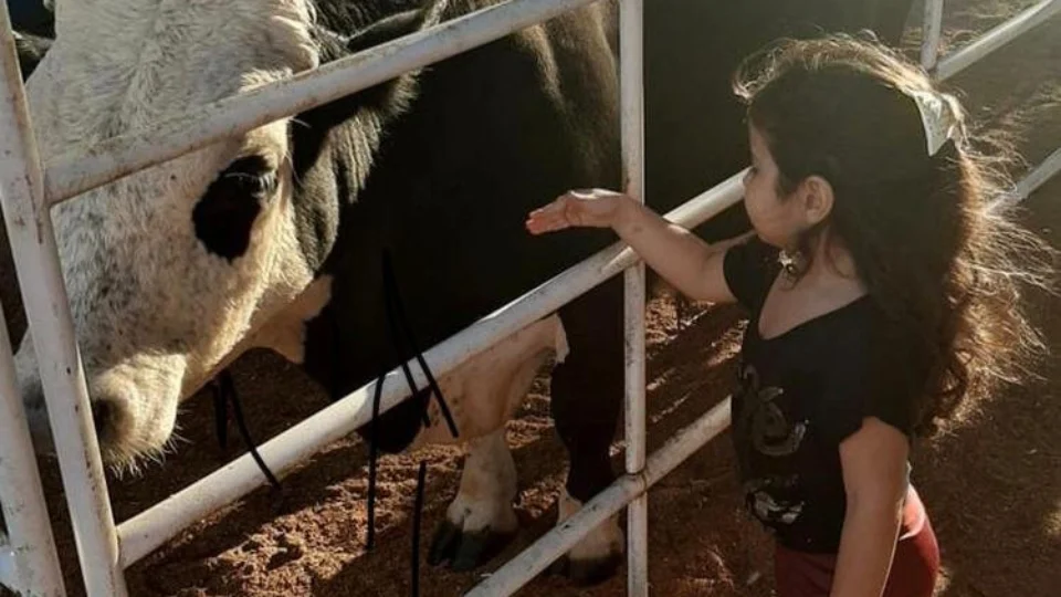 Atração em Manaus permite que crianças brinquem com mini animais de fazenda