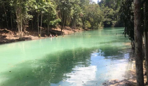 Lagoa “Verde Azul” é rota ecológica inusitada em Manaus, encante-se