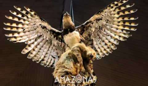 Bosque da Ciência completa 30 anos com programação especial neste sábado (5)