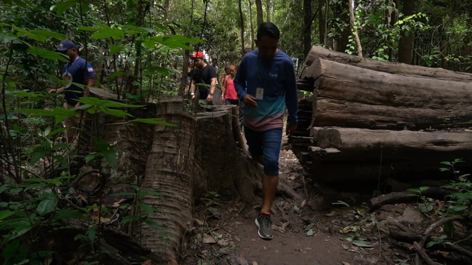 Trilha das Samaúmas