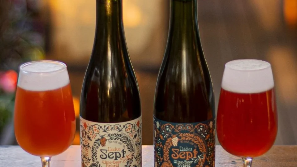 Drinkability: Conheça a harmonização de bebidas e gastronomia oriental