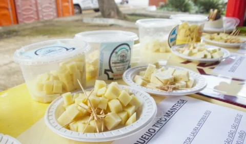 35ª Expopin: Concurso escolhe melhores queijo coalho e manteiga de Parintins-Am