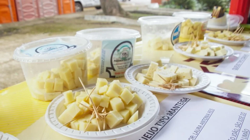 35ª Expopin: Concurso escolhe melhores queijo coalho e manteiga de Parintins-Am