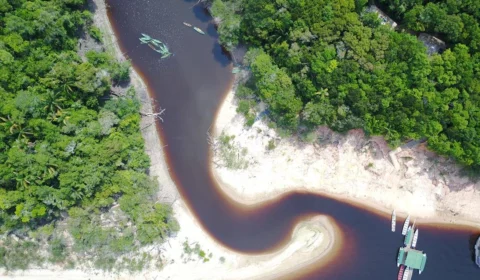 Arquipélago fluvial no Amazonas é reconhecido como Patrimônio Natural da Humanidade