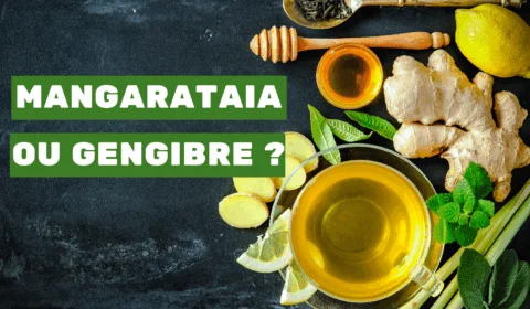 Gengibre ou Mangarataia ? Descubra agora a diferença