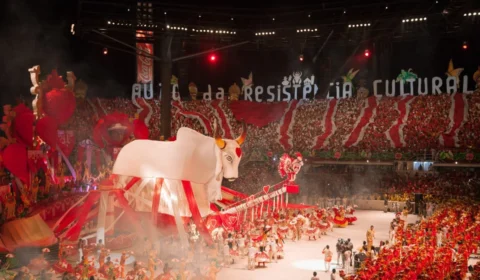 Boi Garantido afirma  que se prepara para maior Festival de todos os tempos