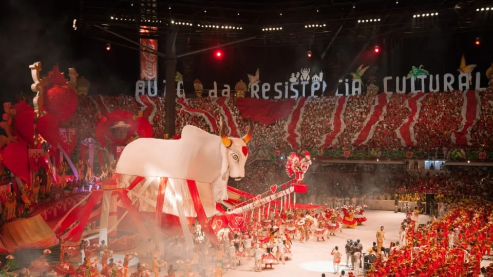 Boi Garantido afirma  que se prepara para maior Festival de todos os tempos