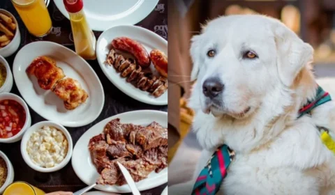 Conheça o primeiro restaurante que recebe sua família e seu pet em Manaus
