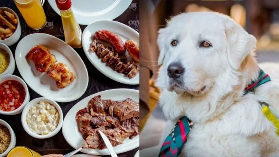 Conheça o primeiro restaurante que recebe sua família e seu pet em Manaus