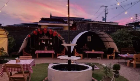 Picnic Forest, quando o sol se põe a magia acontece