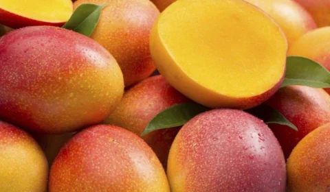 A história que você não sabia sobre a manga