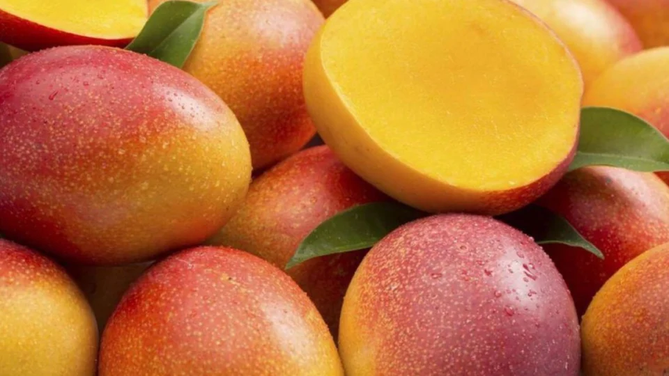 A história que você não sabia sobre a manga