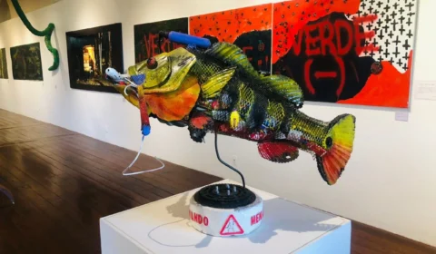 Exposição ’Verde Amazonas’ traz sons, cores e texturas da Amazônia ao Palacete Provincial