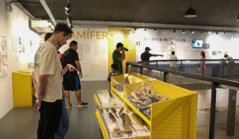 Bosque da Ciência já recebeu mais de 3 mil visitantes durante a primeira semana de 2023 