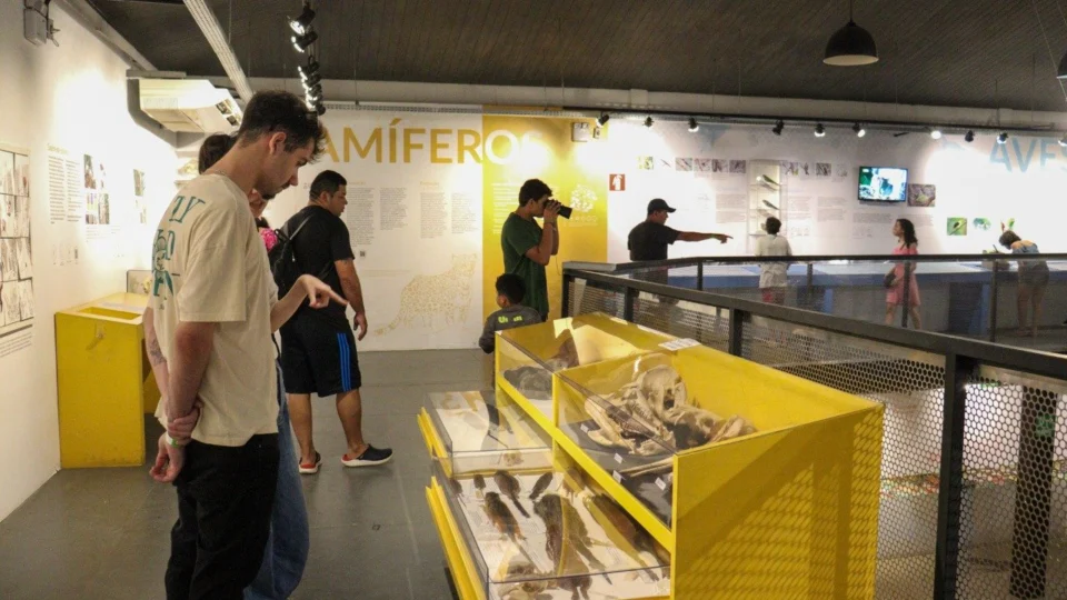 Bosque da Ciência já recebeu mais de 3 mil visitantes durante a primeira semana de 2023 