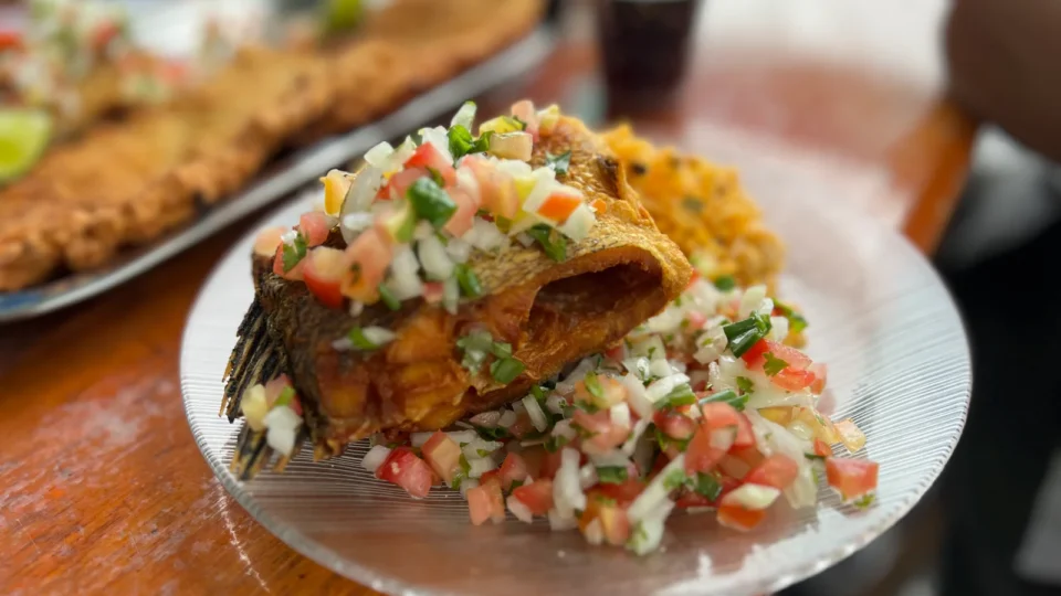 Conheça a peixaria Gabinete do Jokka Loureiro