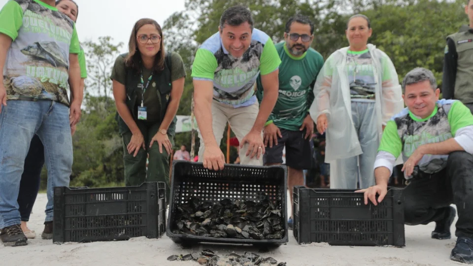 Wilson Lima participa da soltura de 20 mil filhotes de quelônios que foram devolvidos à natureza