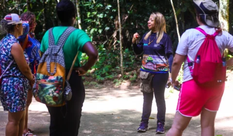 Guia de turismo apresenta o Amazonas com criatividade e amor