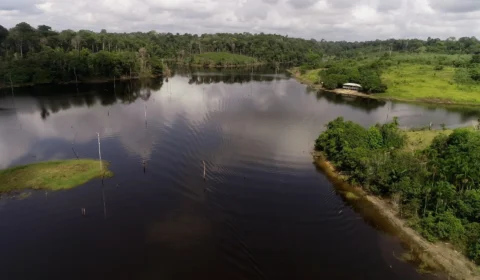 Lago de Balbina tem regras de uso revisadas para conservar estoques de tucunaré