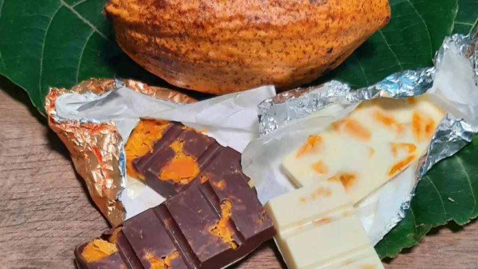 Chocolate com sabores amazônicos são opções para a páscoa