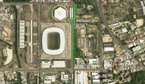 Manaus ganha aplicativo para gerenciar ações de arborização na cidade