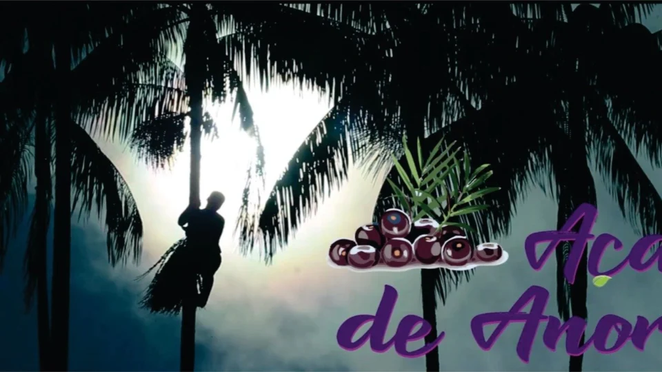 CineTeatro Guarany recebe mostra de filmes voltada para obras produzidas em Anori