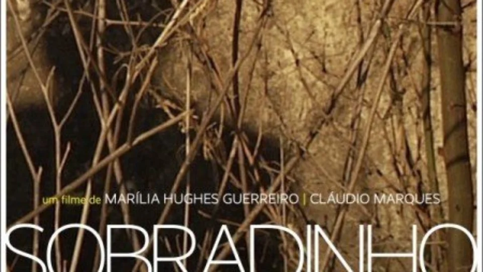 Filme com temática ambiental é exibido no Cineteatro Guarany