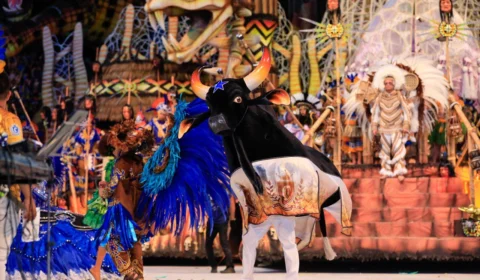 Caprichoso vence 56º Festival Folclórico de Parintins