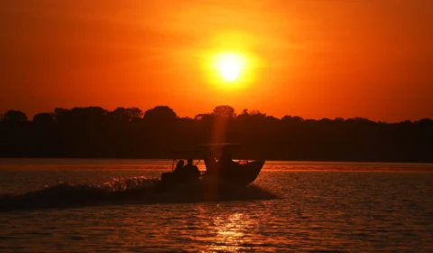 Conheça praias inexploradas e paradisíacas do Amazonas