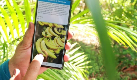 Programa seleciona negócios da Amazônia para investir até R$ 700 mil