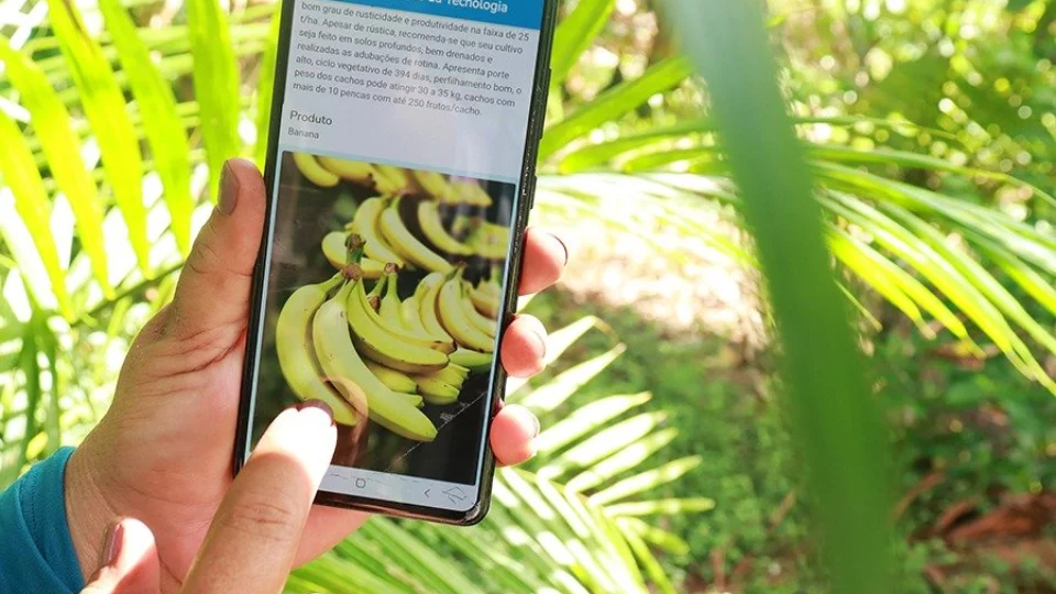 Programa seleciona negócios da Amazônia para investir até R$ 700 mil