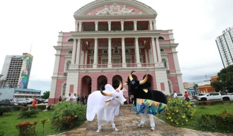 A programação da temporada de 2024 dos Bumbás de Parintins é divulgada