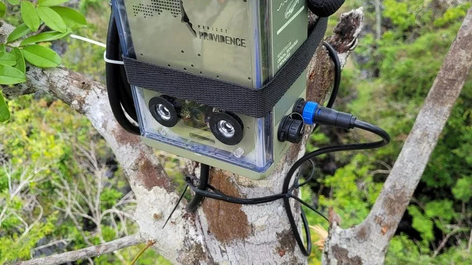 Instituto Mamirauá é finalista de uma das maiores competições de tecnologia para monitoramento da biodiversidade do mundo