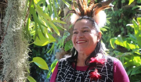 Cura Amazônia: Duhigó e Rember iniciam pinturas nas empenas dos edifícios Mônaco e Monte Carlo