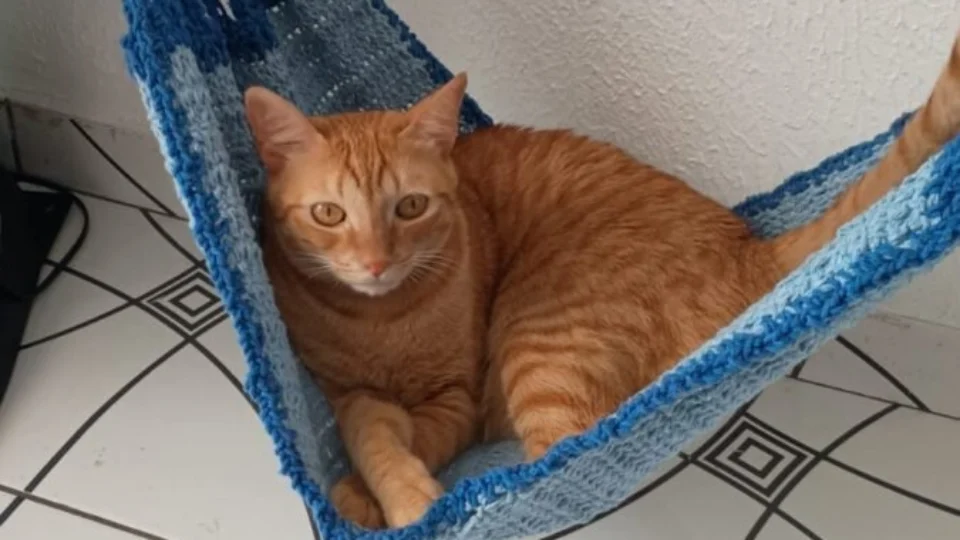 Exposições de crochê contempladas pela Lei Paulo Gustavo celebram a diversidade cultural amazônica e a sustentabilidade