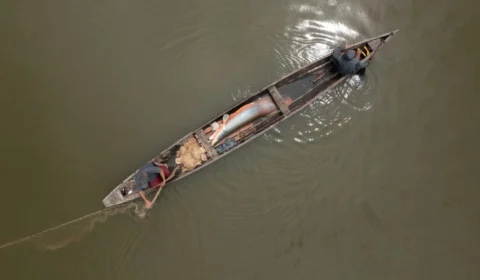 Filme amazonense que estreou no Teatro Amazonas concorre ao ‘Oscar’ do cinema de natureza