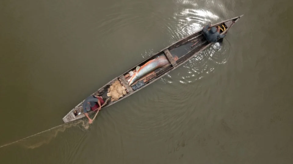 Filme amazonense que estreou no Teatro Amazonas concorre ao ‘Oscar’ do cinema de natureza