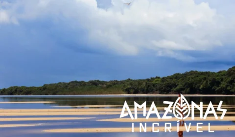 3 praias para visitar no interior do Amazonas durante o verão