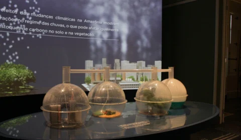 Museu mescla tecnologia com objetos históricos em Manaus, conheça o lugar