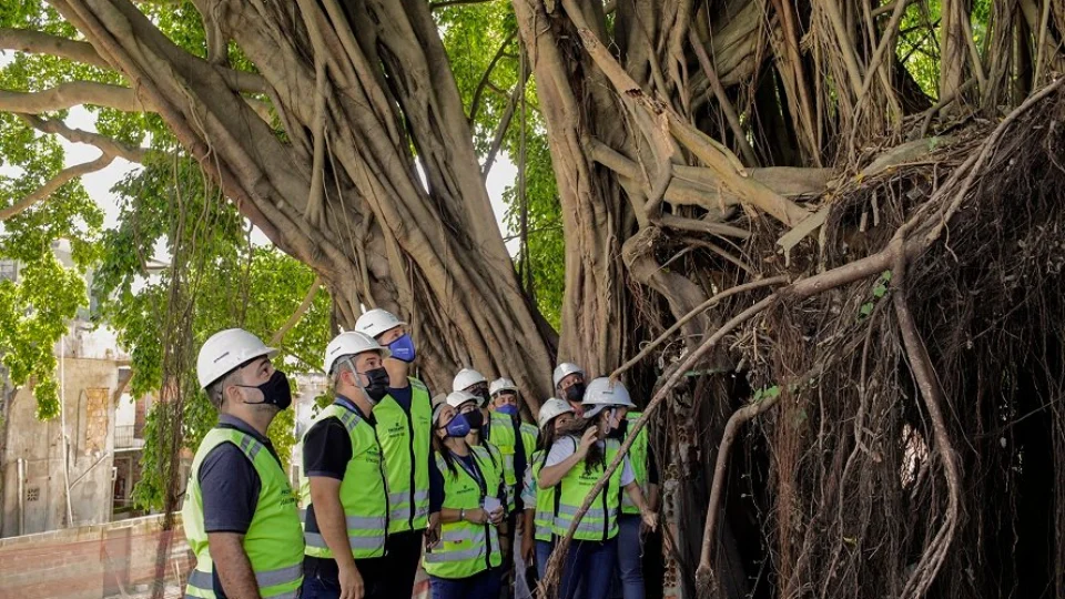 Parque das Araras – Centro de Manaus ganha novo ponto turístico