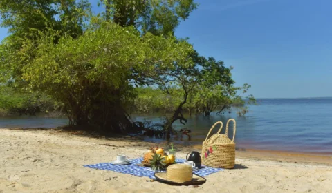 Confira opções de turismo romântico no Amazonas para o Valentine’s  Day